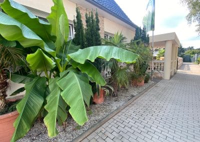 Wilsmann Apartmentvermietung - Eingang zu den Apartments