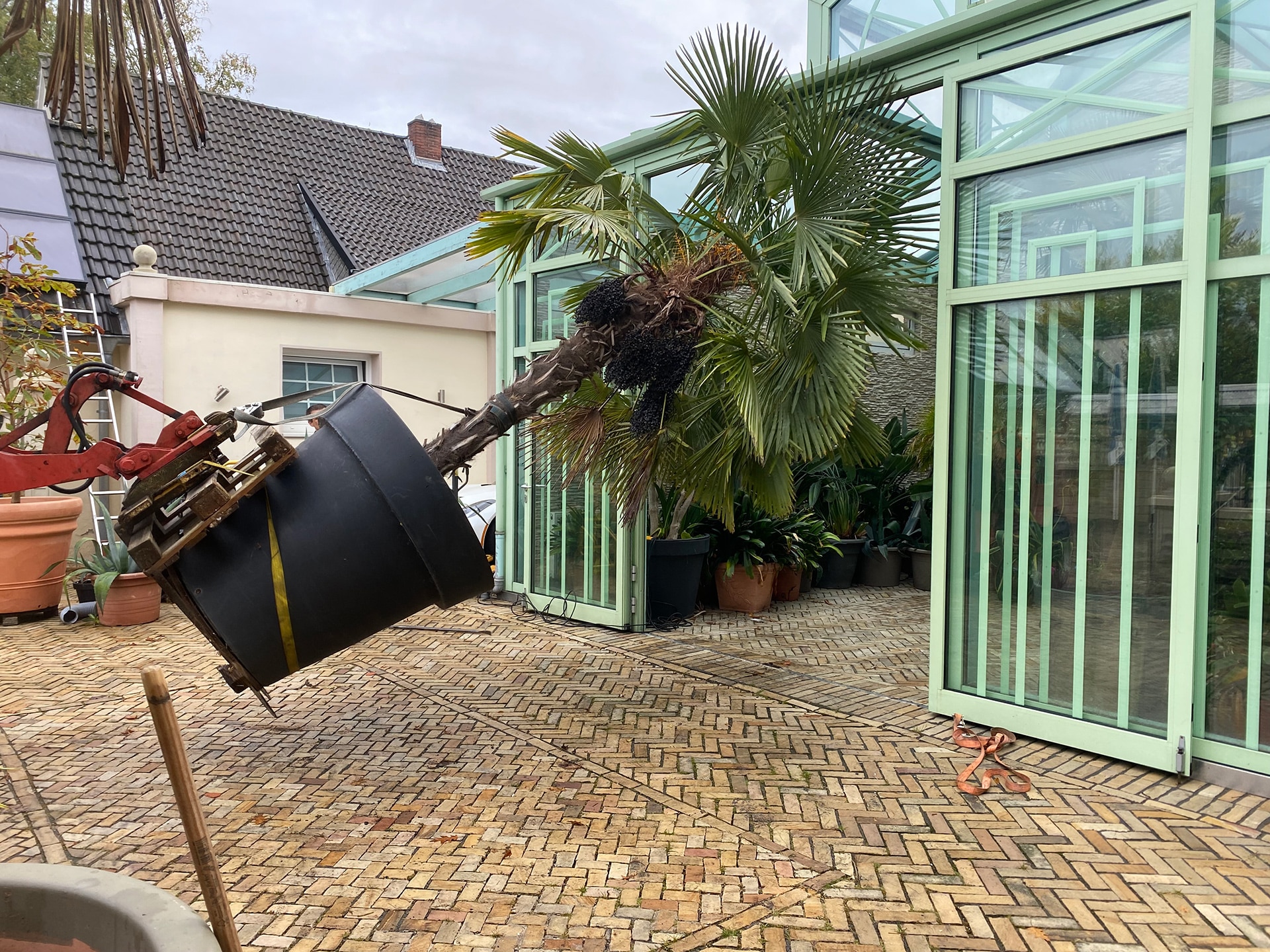 Wohnen unter Palmen – Das Palmenhaus Der Herbst zieht ein bei Wohnen unter Palmen